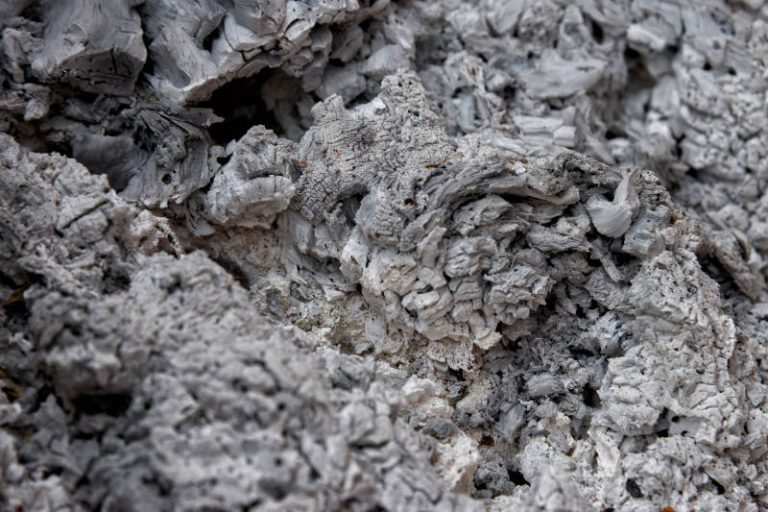 Proper Ash Disposal: What You Should Know