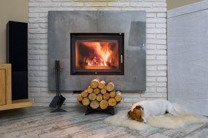Top 10: What Not To Burn In a Fireplace